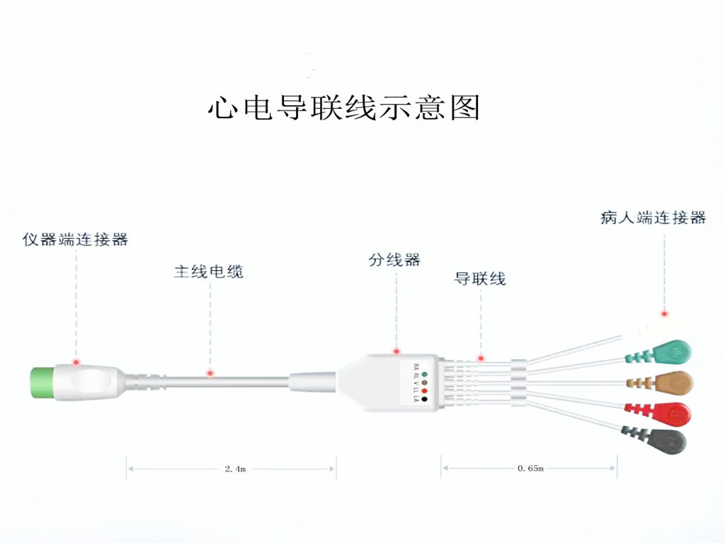 榴莲视频成人APP心电导联线